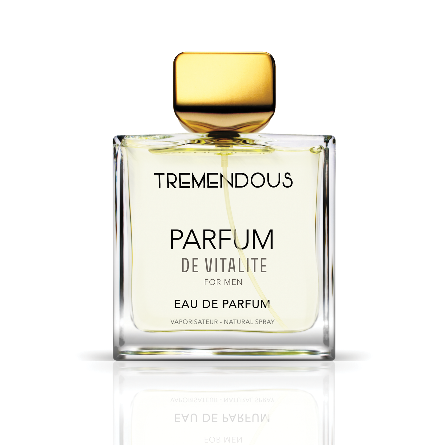 Parfum De Vitalite by Tremendous Parfums, 3.4 oz EDP Spray for Men