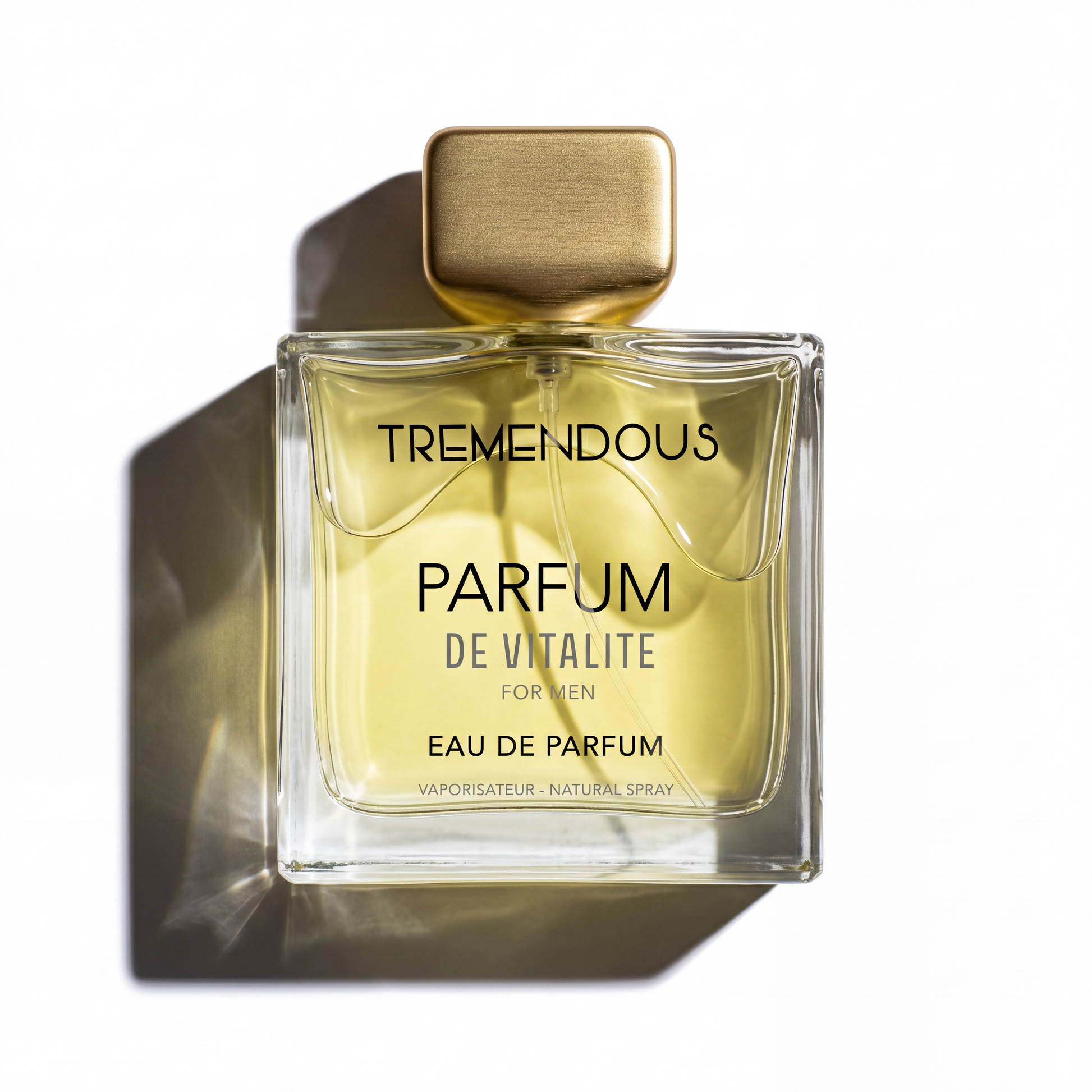 Parfum De Vitalite by Tremendous Parfums, 3.4 oz EDP for Men