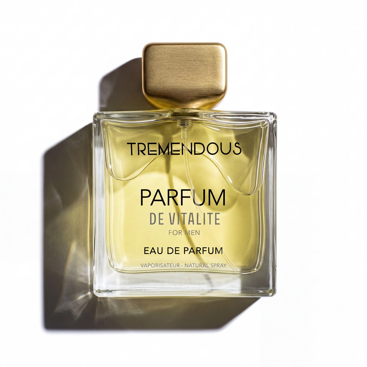 Parfum De Vitalite by Tremendous Parfums, 3.4 oz EDP for Men